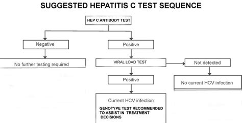 what does 0.1 mean on a hep c test|Hepatitis C Blood Test: Results, Cost, and More .